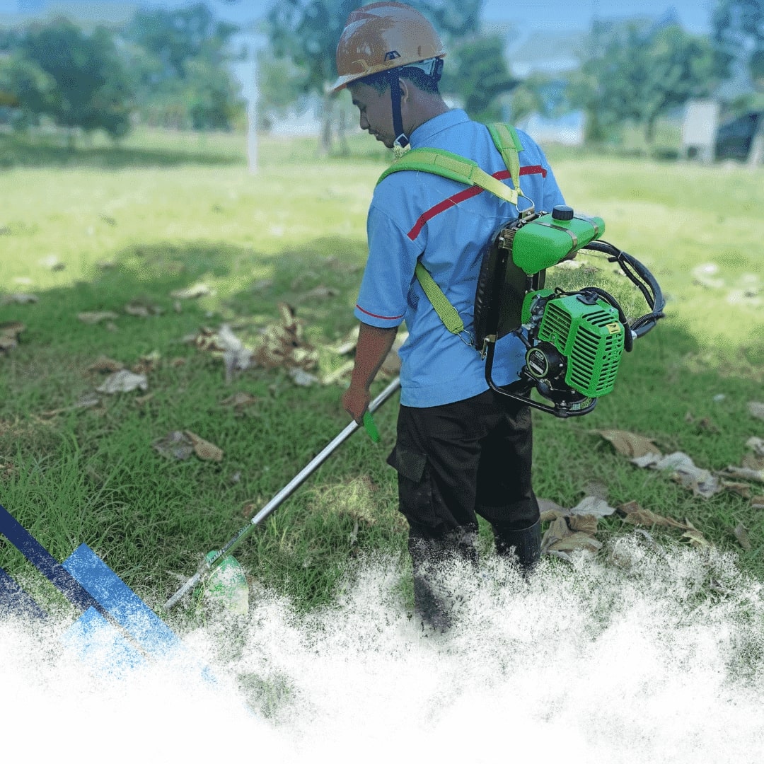 Service Image